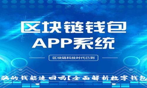 数字钱包诈骗的钱能追回吗？全面解析数字钱包安全与维权