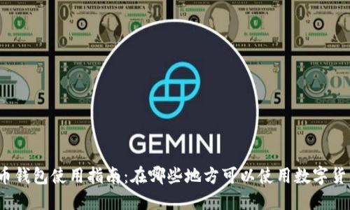 数字货币钱包使用指南：在哪些地方可以使用数字货币钱包？