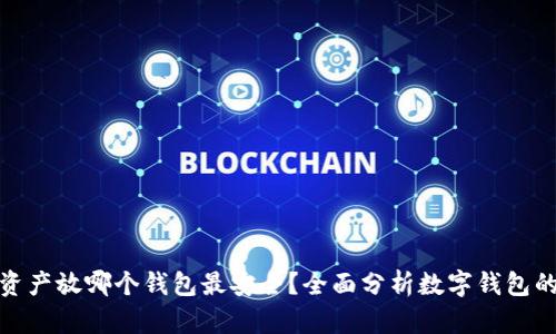 数字资产放哪个钱包最安全？全面分析数字钱包的选择