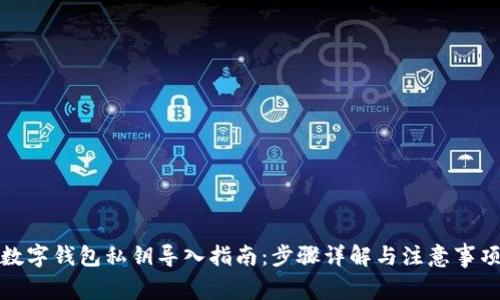 数字钱包私钥导入指南：步骤详解与注意事项