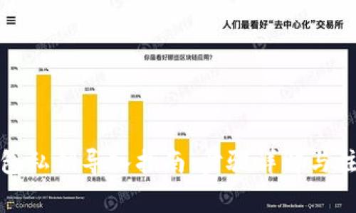 数字钱包私钥导入指南：步骤详解与注意事项