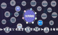 如何查看公司数字钱包等级？详细指导与解析