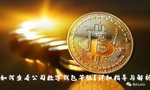 如何查看公司数字钱包等级？详细指导与解析