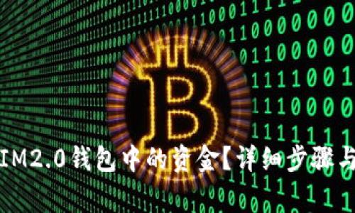 如何提取IM2.0钱包中的资金？详细步骤与注意事项