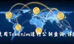 如何使用Tokenim进行公钥查