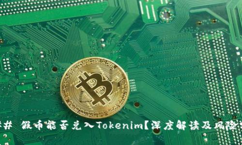 ### 假币能否兑入Tokenim？深度解读及风险分析