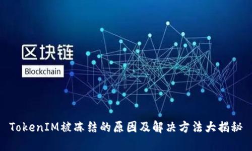 TokenIM被冻结的原因及解决方法大揭秘