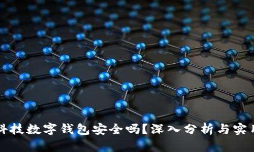 陀螺科技数字钱包安全吗？深入分析与实用指南