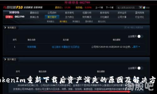 TokenIm重新下载后资产消失的原因及解决方法