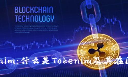 深入理解Tokenim：什么是Tokenim及其在区块链中的应用