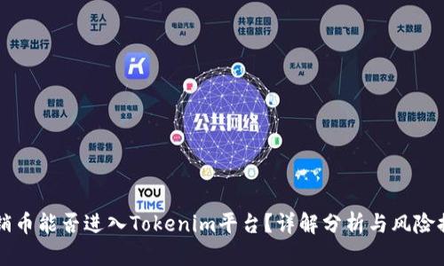 传销币能否进入Tokenim平台？详解分析与风险提示