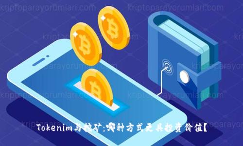 Tokenim与挖矿：哪种方式更具投资价值？