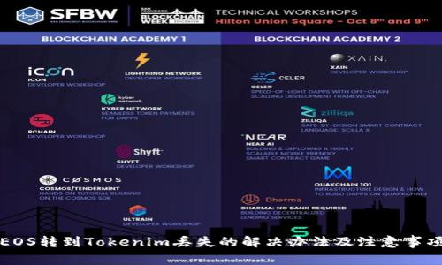 EOS转到Tokenim丢失的解决办法及注意事项