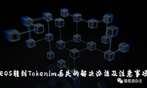 EOS转到Tokenim丢失的解决办法及注意事项