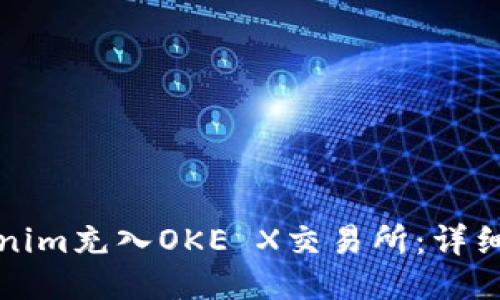 如何将Tokenim充入OKE X交易所：详细步骤与指南