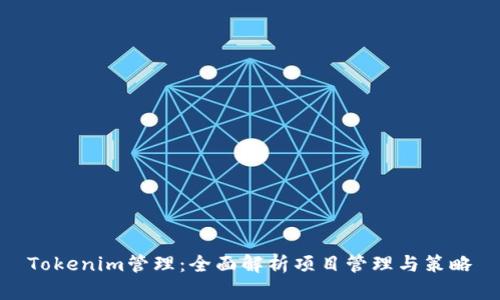 Tokenim管理：全面解析项目管理与策略