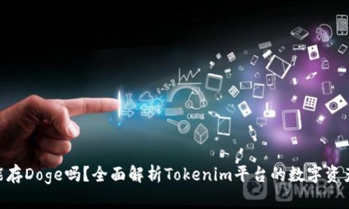 Tokenim能存Doge吗？全面解析Tokenim平台的数字资产存储功能