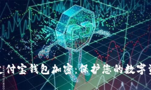 如何给支付宝钱包加密：保护您的数字资产安全