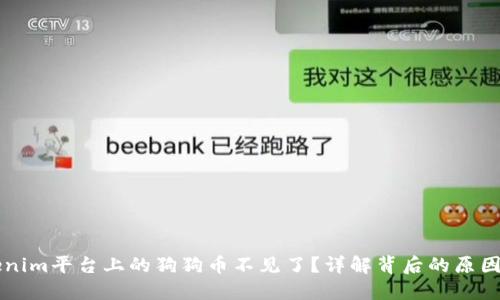 为什么Tokenim平台上的狗狗币不见了？详解背后的原因及解决方案