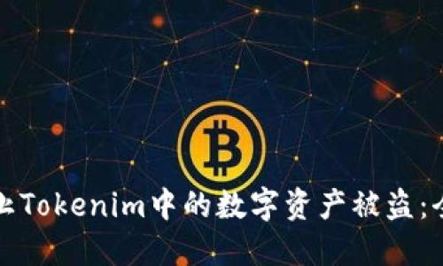 如何防止Tokenim中的数字资产被盗：全面指南