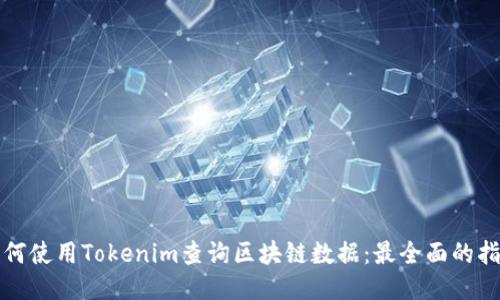 如何使用Tokenim查询区块链数据：最全面的指南