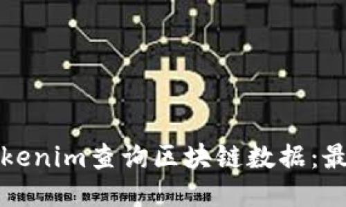 如何使用Tokenim查询区块链数据：最全面的指南