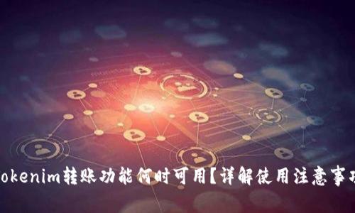 Tokenim转账功能何时可用？详解使用注意事项