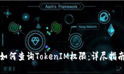 如何查询TokenIM权限：详尽指南