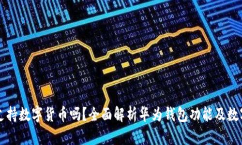 华为钱包支持数字货币吗？全面解析华为钱包功能及数字货币应用