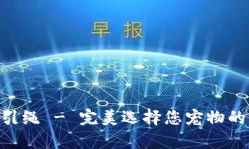 IM2.0牵引绳 - 完美选择您宠物的户外活动