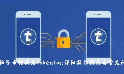 如何将柚子币转换为TokenIm：详细操作指南与常见问题解答