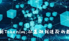 全面解析Tokenim：从基础到