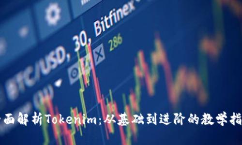 全面解析Tokenim：从基础到进阶的教学指南