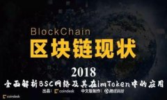 全面解析BSC网络及其在i