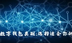 全面解析数字钱包类别：