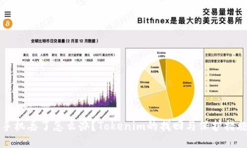 手机丢了怎么办？Tokenim的找回与保护措施