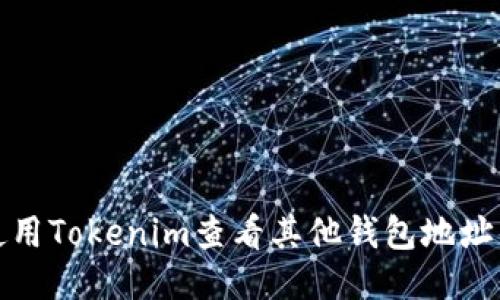 如何使用Tokenim查看其他钱包地址的信息