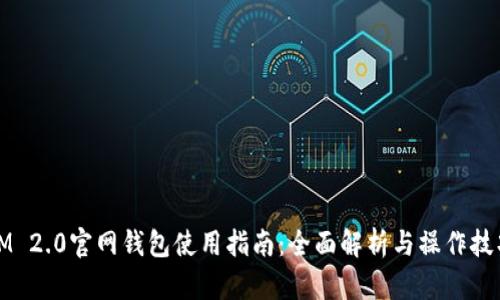 IM 2.0官网钱包使用指南：全面解析与操作技巧