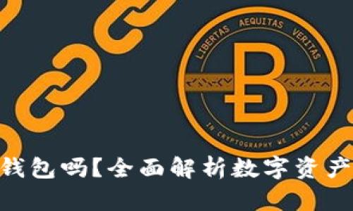 Tokenim是冷钱包吗？全面解析数字资产安全存储方案