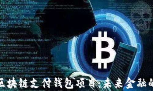 
全面解析区块链支付钱包项目：未来金融的变革之路