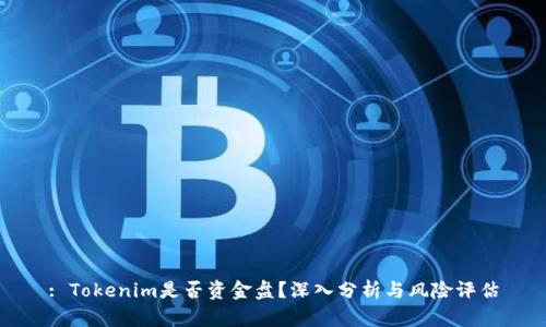 : Tokenim是否资金盘？深入分析与风险评估