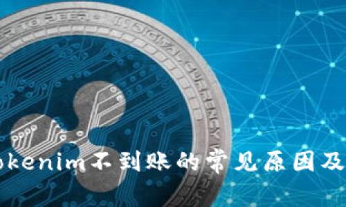 货币转Tokenim不到账的常见原因及解决方案