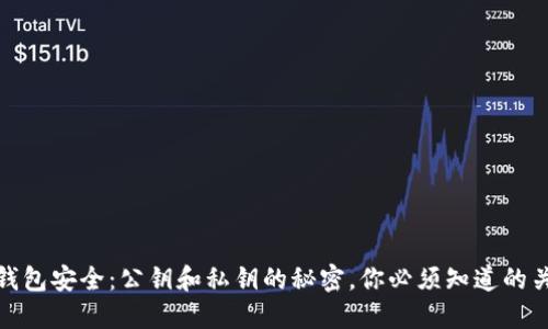 : 数字钱包安全：公钥和私钥的秘密，你必须知道的关键知识