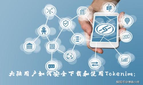 大陆用户如何安全下载和使用Tokenim：