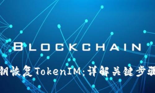 如何通过私钥恢复TokenIM：详解关键步骤与注意事项