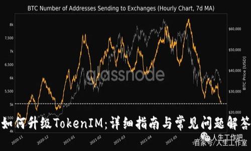 如何升级TokenIM：详细指南与常见问题解答