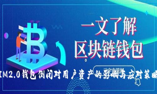 IM2.0钱包倒闭对用户资产的影响与应对策略