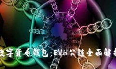 数字货币钱包：EVH公链全