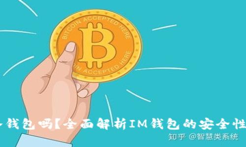 IM是冷钱包吗？全面解析IM钱包的安全性与功能