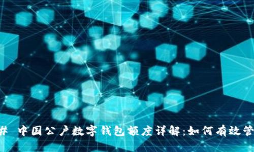 ### 中国公户数字钱包额度详解：如何有效管理与